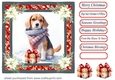Wrapped up for Christmas pup card front 3
