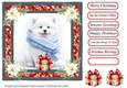 Wrapped up for Christmas pup card front 4