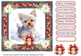 Wrapped up for Christmas pup card front 5