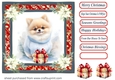 Wrapped up for Christmas pup card front 6