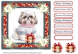Wrapped up for Christmas pup card front 7