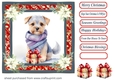 Wrapped up for Christmas pup card front 8