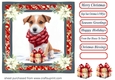 Wrapped up for Christmas pup card front 9