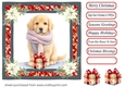 Wrapped up for Christmas pup card front 10