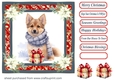 Wrapped up for Christmas pup card front 11