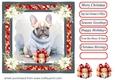 Wrapped up for Christmas pup card front 15