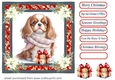 Wrapped up for Christmas pup card front 16