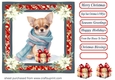 Wrapped up for Christmas pup card front 17