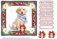 Wrapped up for Christmas pup card front 19
