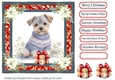 Wrapped up for Christmas pup card front 20