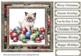 Framed Christmas kitty card front 6