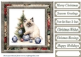 Framed Christmas kitty card front 8