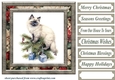 Framed Christmas kitty card front 9