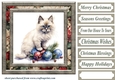 Framed Christmas kitty card front 10