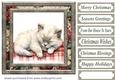 Framed Christmas kitty card front 12