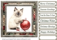 Framed Christmas kitty card front 13