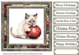 Framed Christmas kitty card front 15