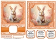5x7 and 6x6 aprox Orange rabbit card fronts
