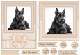 Peach 5x7 and 6x6 aprox Scottish terrier card fronts 1