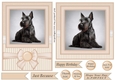 Peach 5x7 and 6x6 aprox Scottish terrier card fronts 3
