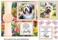 Peach Summer garden pup card front 2