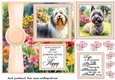 Peach Summer garden pup card front 3