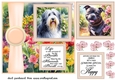 Peach Summer garden pup card front 4