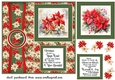 Winter poinsettia card front 2