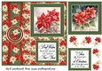Winter poinsettia card front 3