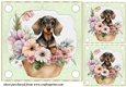 3 Green floral pup in basket card front/toppers 5