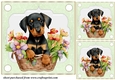 3 Green floral pup in basket card front/toppers 7