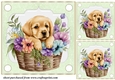 3 Green floral pup in basket card front/toppers 9