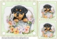 3 Green floral pup in basket card front/toppers 12