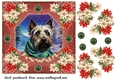 Poinsettia Scottish terrier card front 1