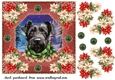 Poinsettia Scottish terrier card front 2