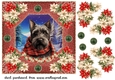Poinsettia Scottish terrier card front 3