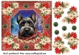 Poinsettia Scottish terrier card front 6