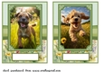 2 5x7 (aprox) Happy little pup card fronts 2