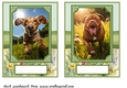 2 5x7 (aprox) Happy little pup card fronts 3