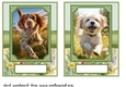 2 5x7 (aprox) Happy little pup card fronts 4