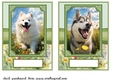 2 5x7 (aprox) Happy little pup card fronts 5