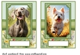 2 5x7 (aprox) Happy little pup card fronts 6