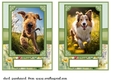 2 5x7 (aprox) Happy little pup card fronts 7