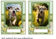 2 5x7 (aprox) Happy little pup card fronts 8