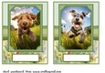 2 5x7 (aprox) Happy little pup card fronts 9