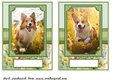 2 5x7 (aprox) Happy little pup card fronts 10
