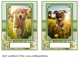 2 5x7 (aprox) Happy little pup card fronts 11