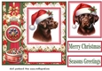 Christmas chocolate Labrador card front 2