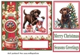 Christmas chocolate Labrador card front 5
