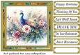 Floral peacock card front 4